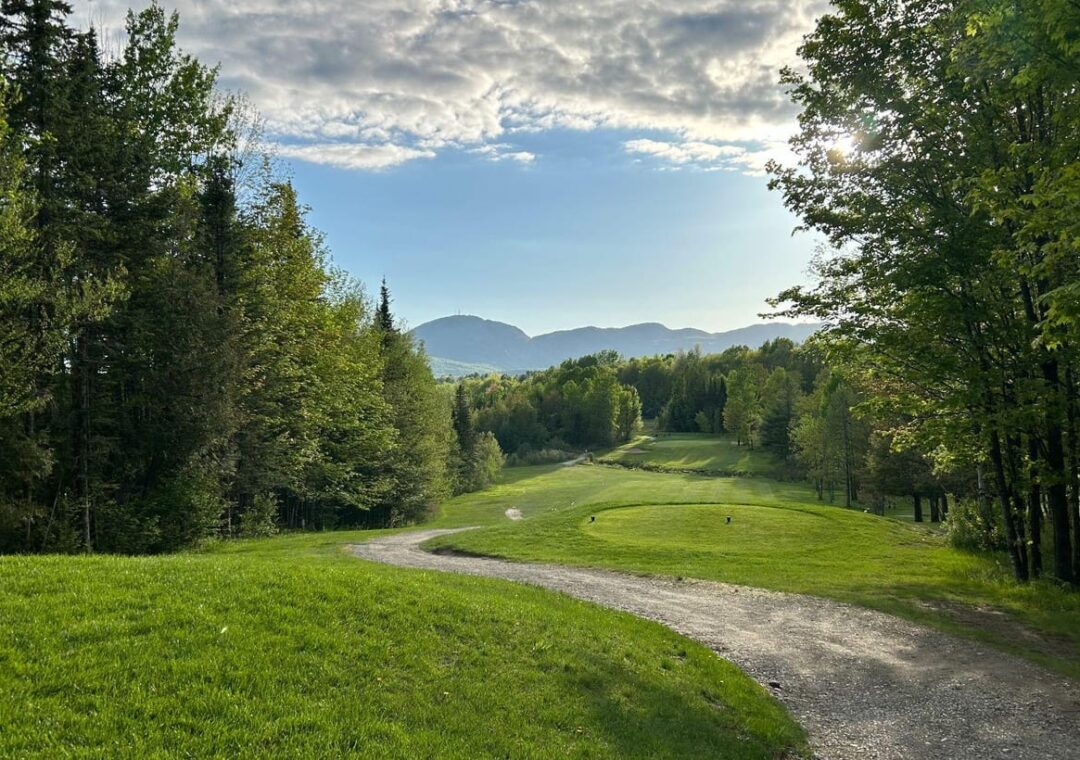 Départ de golf boisé avec vue sur les montagnes